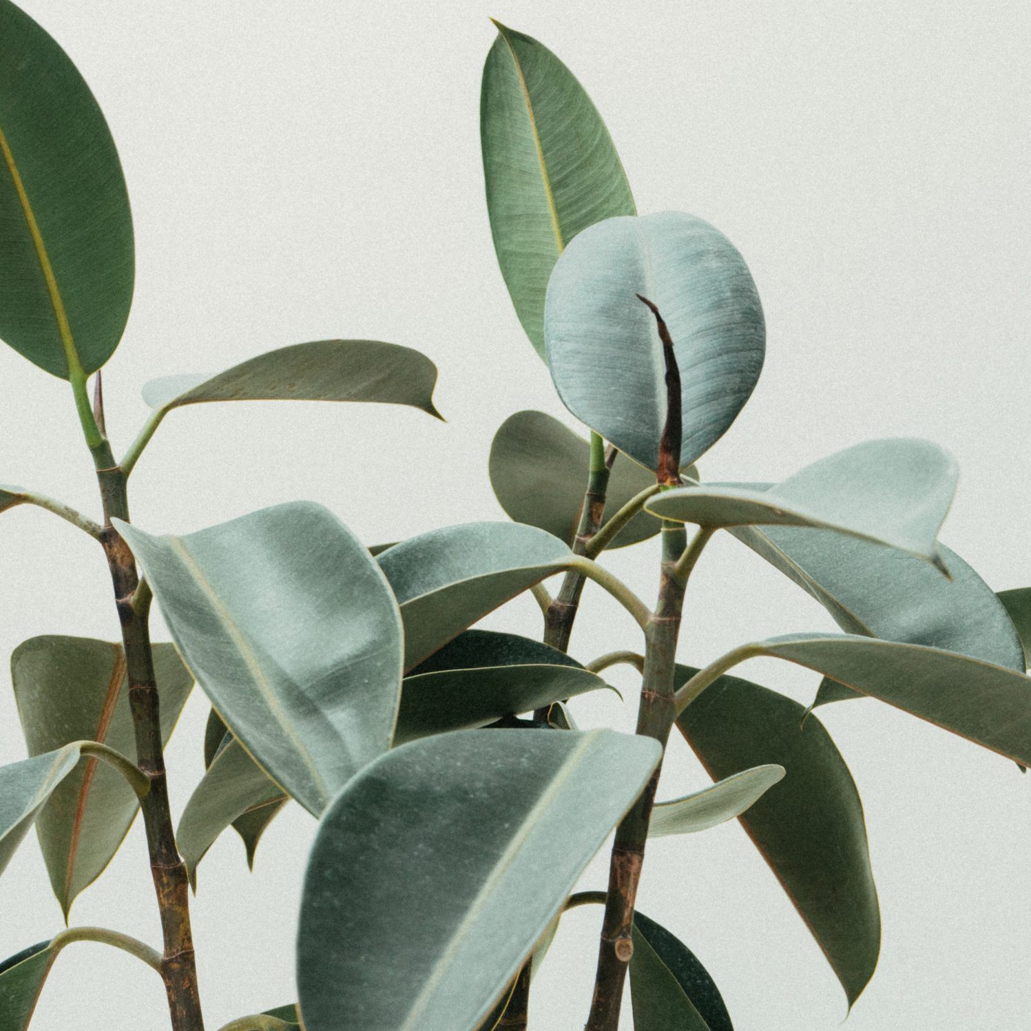 moje opisy obrazkow tutaj